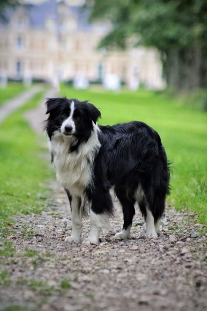 Singular's Best Choice O'love to keep me