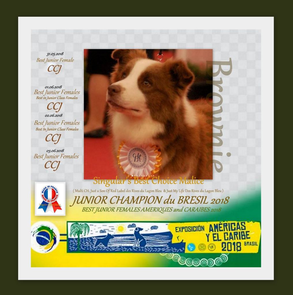 Singular's Best Choice - CHAMPIONNAT AMERICAN & CARAIBE 2018 Malice